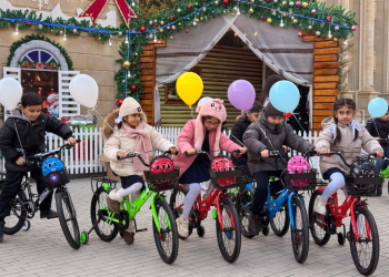 Leyla Əliyevanın təşəbbüsü ilə Yevlaxda Yeni il tədbiri keçirilib