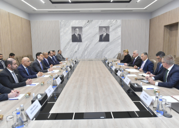 Bakı və Əbu-Dabi arasında şəhər nəqliyyatının inkişafı sahəsində əməkdaşlıq müzakirə olunub