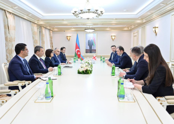 Milli Məclisin sədri Sahibə Qafarova Gürcüstan Parlamentinin Xarici əlaqələr komitəsinin sədri ilə görüşüb