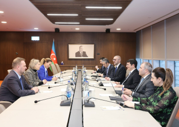 “Microsoft” şirkətinin Rumıniya, Moldova və MDB üzrə baş meneceri ilə görüş keçirilib