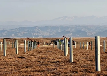 bp Şəfəq günəş enerjisi layihəsinin 10% iştirak payını satdı